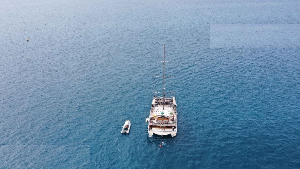 Crucero Supercat con Delfines en Gran Canaria - 4 Horas