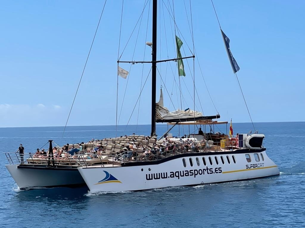 Excursión con delfines Gran Canaria
